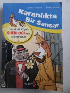 Karanlıkta Bir Sansar