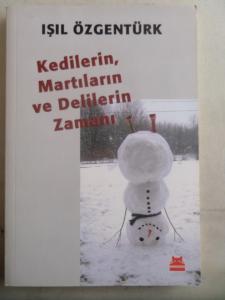 Kedilerin Martıların ve Delilerin Zamanı