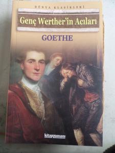 Genç Werther'in Acıları