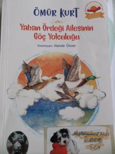 Yaban Ördeği Ailesinin Göç Yolculuğu