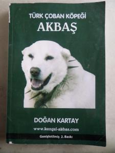 Türk Çoban Köpeği Akbaş