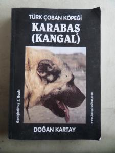 Türk Çoban Köpeği Karabaş ( Kangal )