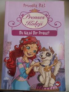 Prenses Koleji 2 Bu Nasıl Bir Prens