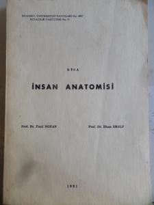 Kısa İnsan Anatomisi