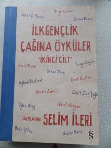İlkgençlik Çağına Öyküler 2. Cilt