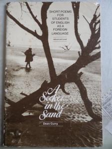 A Seeker in The Sand