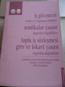 İş Güvencesi Esasları ve Uygulama Sorunları