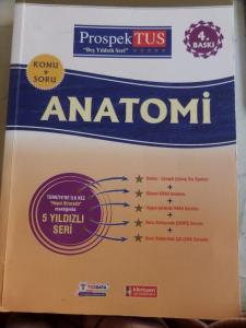 Anatomi