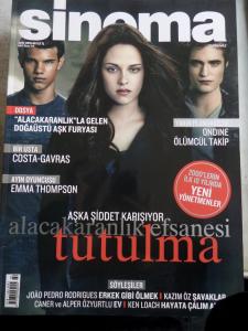 Sinema 2010 / 06