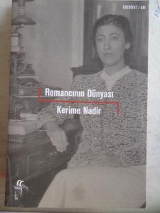 Romancının Dünyası