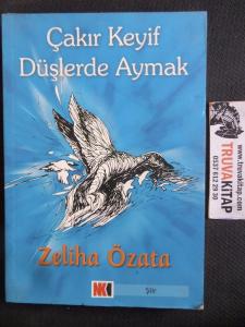 Çakır Keyif Düşlerde Aymak