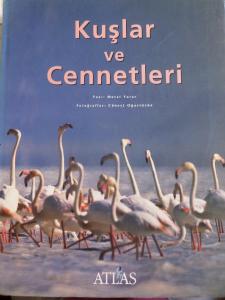 Kuşlar ve Cennetleri
