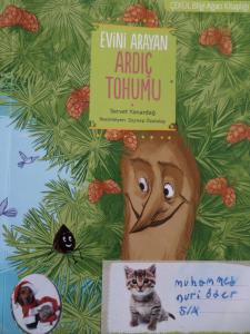 Evini Arayan Ardıç Tohumu