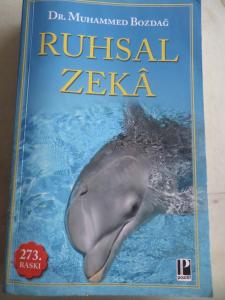Ruhsal Zeka