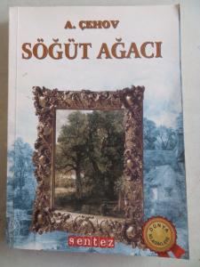 Söğüt Ağacı
