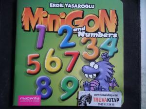 Minigon and Numbers