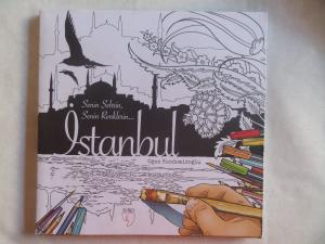 Senin Şehrin Senin Renklerin İstanbul