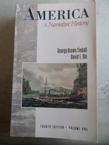 America A Narrative History