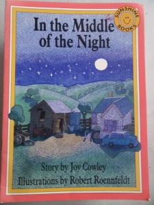 In The Middle Of The Night