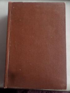 Gece Yarısı Kovboyu