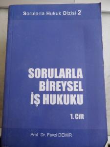 Sorularla Bireysel İş Hukuku 1. Cilt