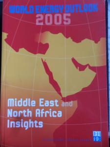 World Energy Outlook Middle East and North Africa Insights