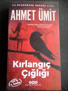 Kırlangıç Çığlığı