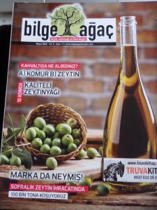 Bilge Ağaç 2022 / 11