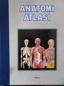 Anatomi Atlası
