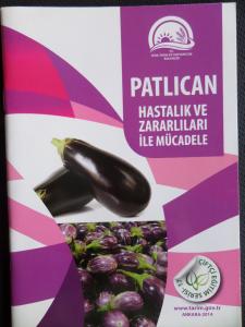 Patlıcan Hastalık ve Zararlıları İle Mücadele