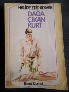 Dağa Çıkan Kurt