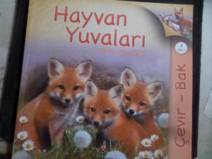 Hayvan Yuvaları