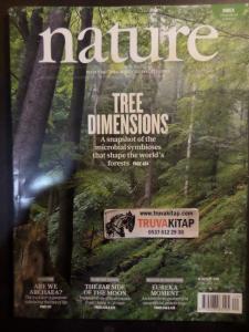 Nature Dergisi 2019 May / No: 7756 - Tree Dimensions