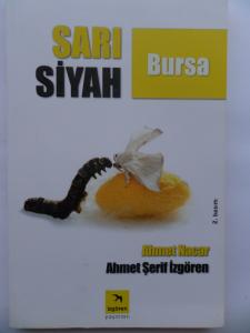 Sarı Siyah Bursa