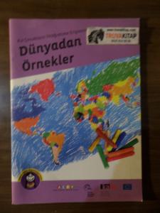 Kız Çocuklarının İlköğretime Erişiminde Dünyadan Örnekler