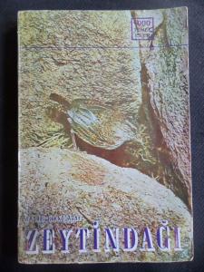 Zeytindağı