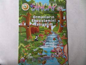 Sincap Orman Çocuk Dergisi 2018 / 3