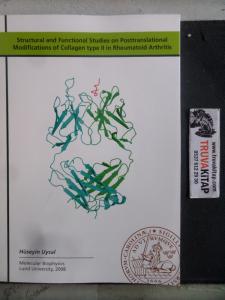 Structural and Functional Studies on Posttranslational Modifications of Collagen Type II in Rheumatoid Arthritis