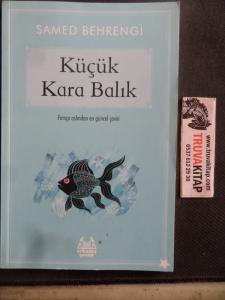 Küçük Kara Balık