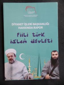 Fiili Türk İslam Devleti