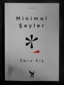 Minimal Şeyler