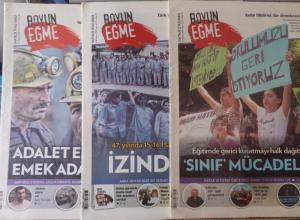 Boyun Eğme 2017 / 78-79-82 (3 Adet)