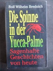 Die Spinne in der Yucca-Palme