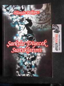 Şarkılar Diyecek Sustuklarımı