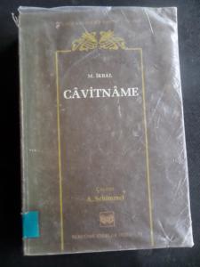 Cavitname