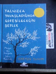 Yalnızca Yavaşladığında Görebileceğin Şeyler