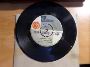 Neşe Karaböcek / 45'lik