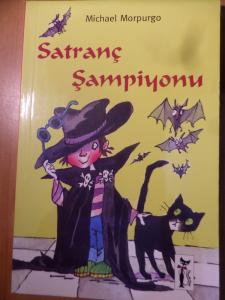 Satranç Şampiyonu