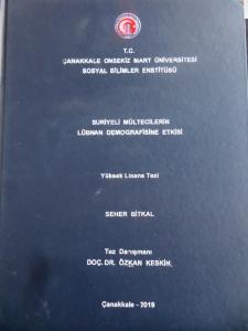 Suriyeli Mültecilerin Lübnan Demografisine Etkisi ( Yüksek Lisans Tezi )