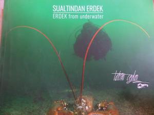 Sualtından Erdek - Erdek From Underwater